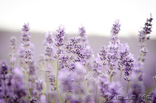 十年后你可能会后悔的十件事