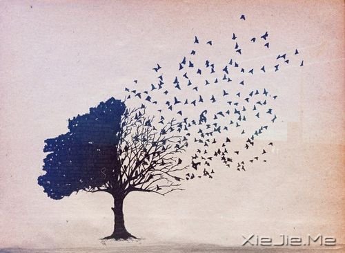 文字:如果有来生,要做一棵树 (3)