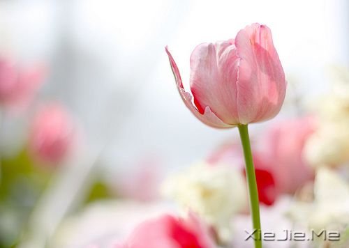 把握人生